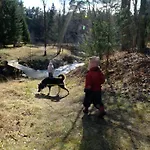 Kallaste Talu- Turismitalu & * Padise