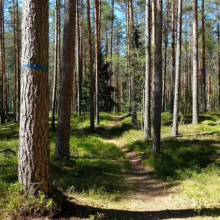 Kallaste Talu- Turismitalu & *