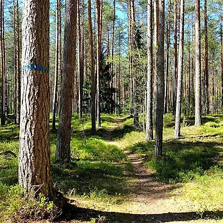 Kallaste Talu- Turismitalu & * Padise