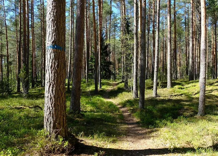 Kallaste Talu- Turismitalu & *