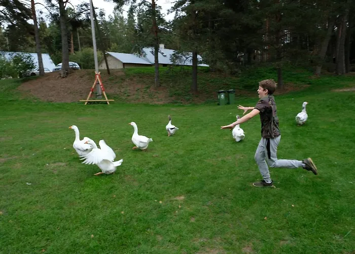 Kallaste Talu- Turismitalu & Kompleks wypoczynkowy