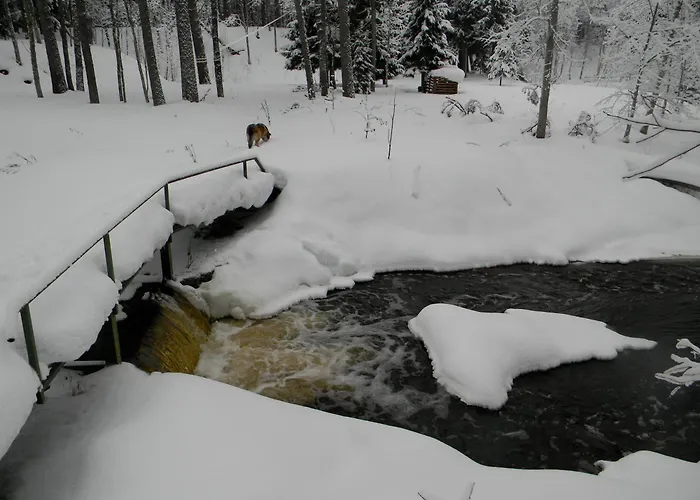 Kallaste Talu- Turismitalu & Padise
