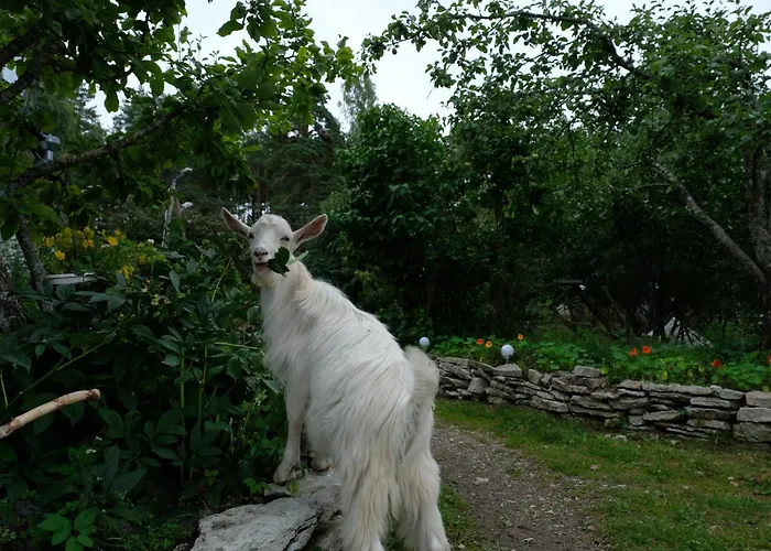 Kallaste Talu- Turismitalu & Kompleks wypoczynkowy Padise