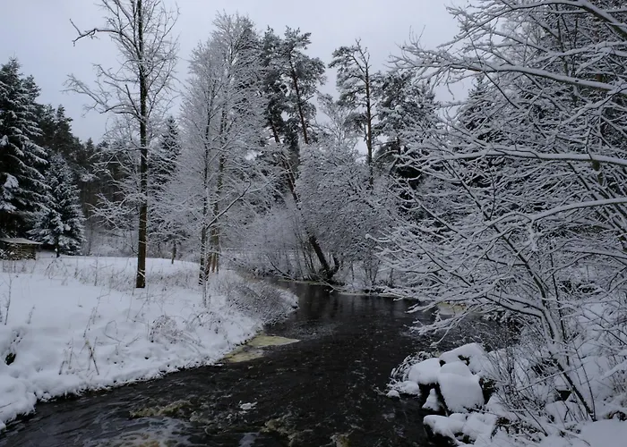 Kompleks wypoczynkowy Kallaste Talu- Turismitalu &